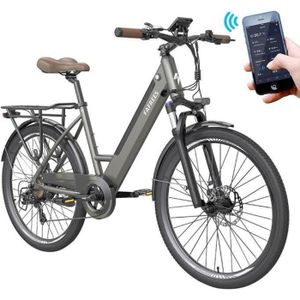 VÉLO ASSISTANCE ÉLEC Vélo électrique FAFREES F26 Pro pour femme - 26 po