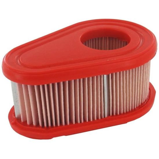 GARDEN PRATIC Filtre à Air Pour Tondeuses à Gazon - BRIGGS & STRATTON