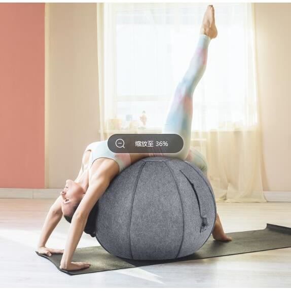 GYMAX Ballon de Yoga 65CM avec Bandes de Résistance et Housse, Ballon d’Exercices avec Poignée et Pompe pour Bureau, Maison, Gris