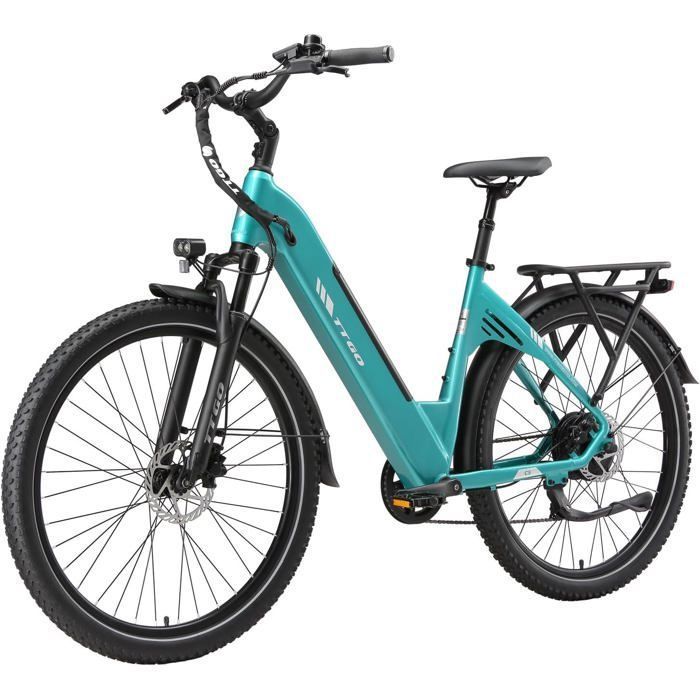 TTGO C5 Vélo électrique urbains 48 V 135 Ah batterie 250 W Moteur avec Shimano 7 vitesses CST 275 x 24 Pneus tout-terrain Vert