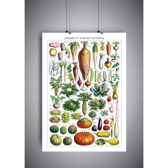 Affiche de cuisine avec légumes –