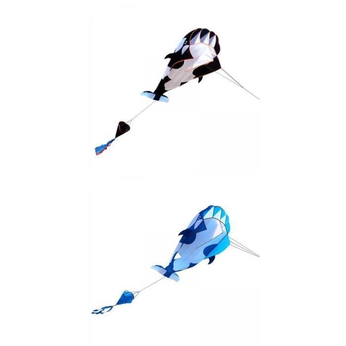 Cerfs-volants Parafoil colorés et ligne de vol de 9,84 pieds, grand