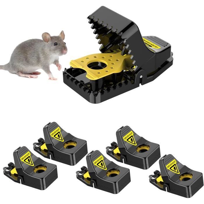 Le Piège à Souris