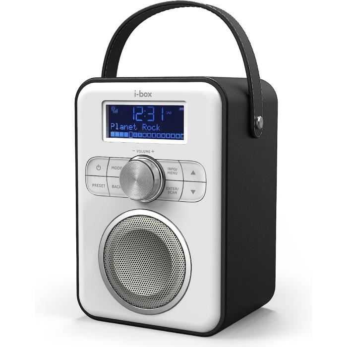 Mycket DAB Radio Portable, DAB Plus Digital Radios With Bluetooth, USB