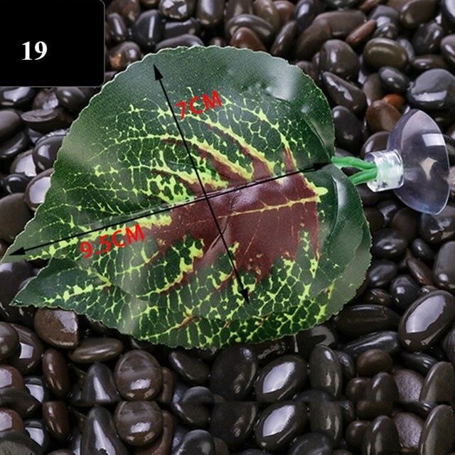 PLANTE D