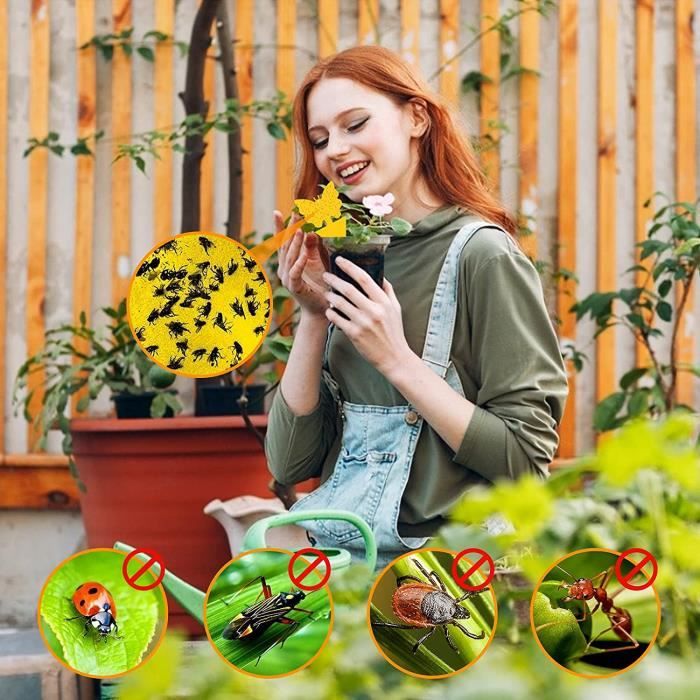 Pièges à Insectes piege Mouche Interieur Mouche piège 56Pcs Double Face ...