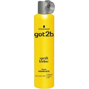 LAQUE FIXATRICE - SPRAY Laques Et Sprays Coiffants - Adhésif Aérosol Spray Cheveux 2 Paquet (2 X 300 Ml) 2er Pack