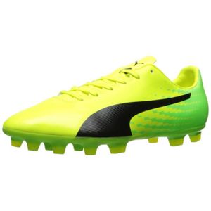 puma evospeed prix