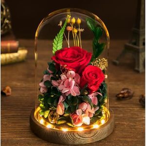 Fleurs de la Vie /éternelle pour Les Amoureux No/ël Roses jamais fan/ées Anniversaire Fleurs Immortelles Haut de Gamme Cadeau de Vacances StillCool Naturelle /éTernelle Rose Rose Rouge Magique