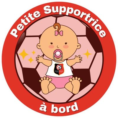 Panda Bébé à Bord Sticker Autocollant 15cm Baby Bebe Cadeau naisssance Papa  Voiture vitres : : Bébé et Puériculture