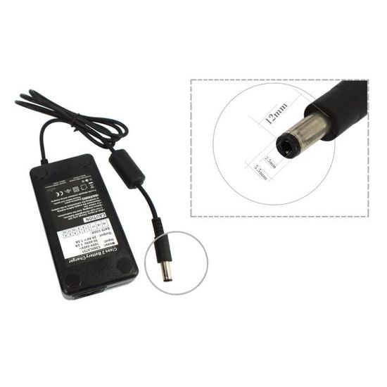 Chargeur 24V pour les modèles Wayscral W200 W201 W400 W401 W402 W450 W424 et Watt's up S2, S4. (Sortie 29.40V, connexion DC 2.5)