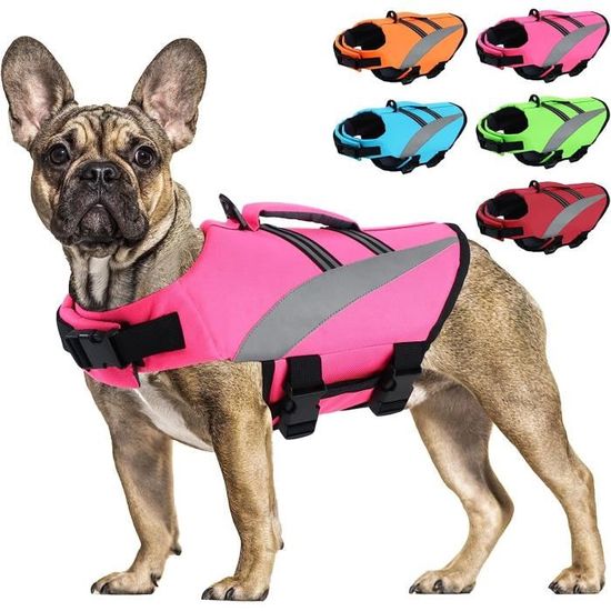 Vetements et accessoires pour hot sale chien