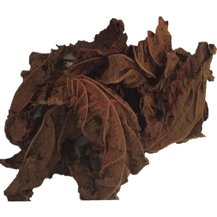Feuilles de DJEKA ( en provenance du Sénégal)