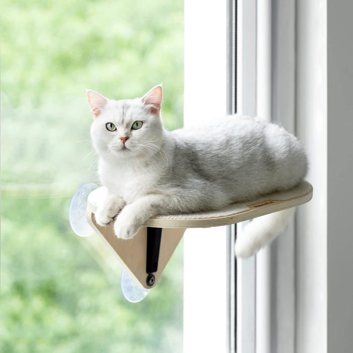 Griffoir sisal et hamac pour chat - lot de 3 plateformes modulables sur ventouses puissantes en bois pour fenêtre