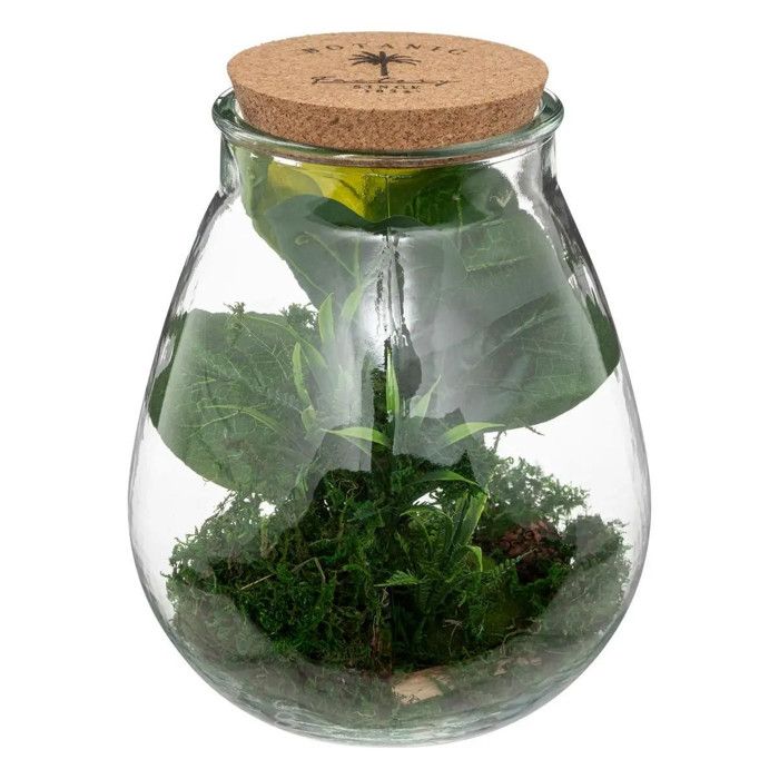Meilleurs prix pour Terrarium "Bota" - verre - H29 - 5 cm - Vert - Atmosphera createur d'interieur