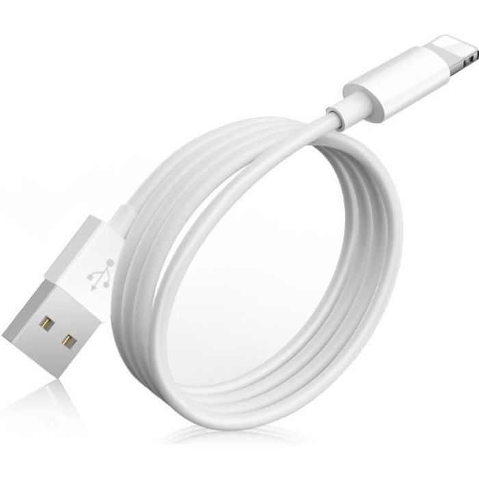 Cable Chargeur iPhone 6 Renforcé à Charge Rapide, 1 mètre, Blanc