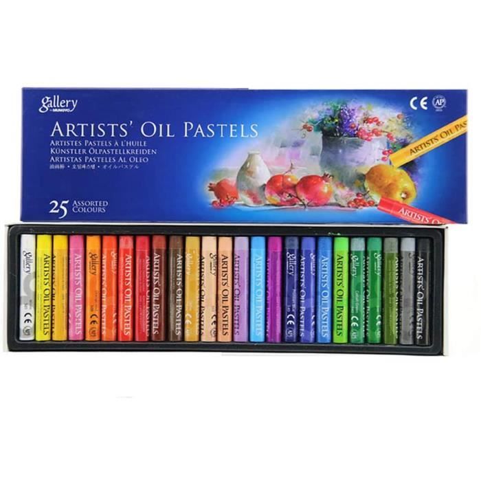 Ensemble de Pastels à L'huile Crayon Pastel Professionnel à L'huile