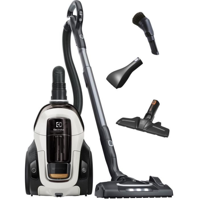 Aspirateur sans sac ELECTROLUX PC91-ALRG