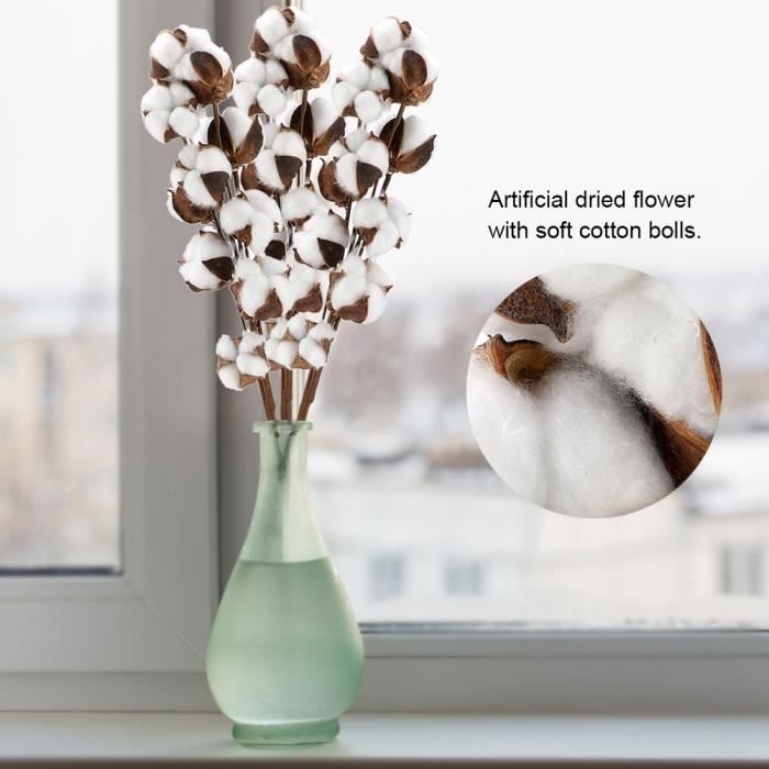 10 Pièces Fleurs De Coton Naturelle Fleurs Séchées En Coton Naturel