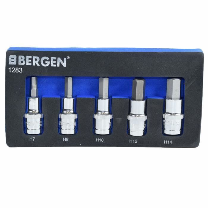 Set De 30 Douilles Allen CCLIFE - H5 à H19 - Acier Chrome Vanadium - Longueurs 55mm à 200mm