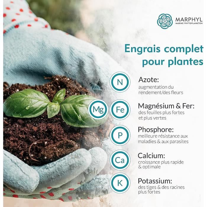 MARPHYL Engrais liquide biologique - Pour plantes d'intérieur et d