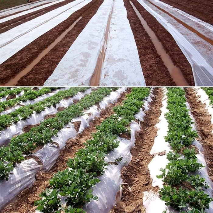 Bâche Serre De Jardin 2x3m Épaisse 0.15mm - Film Polyéthylène Transparent Résistant UV Pour Tomates, Légumes Et Protection Plantes