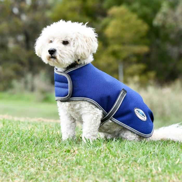 Manteau chien weatherbeeta online