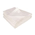 TERRE JARDIN Bâche pour Serre de Jardin 3 x 6 m, soit 18 m² - PE 140 g/m² bâche renforcée - Blanc