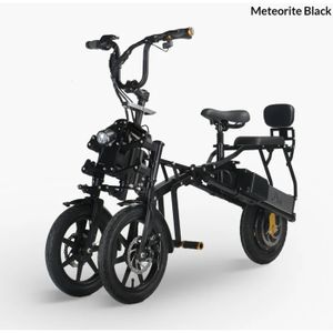 TRICYCLE Tricycle Vélo électrique Afeda S6 Noir 500W moteur