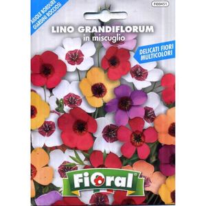 GRAINE - SEMENCE L'Ortolano Semences de fleur de qualité en sachet pour utilisation amateur.[G775]