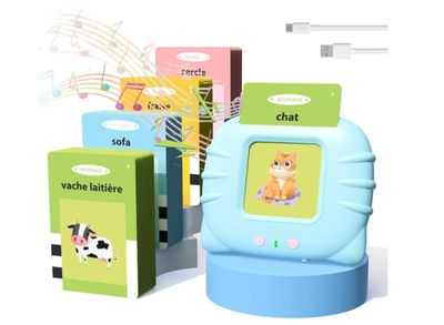 Cartes Flash Action, Cartes Flash Phrases Et Images, Version