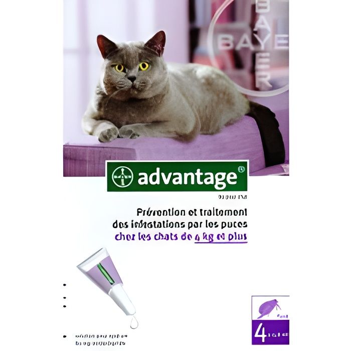 Bayer Advantage 80 Solution Antipuce Pour Chats de