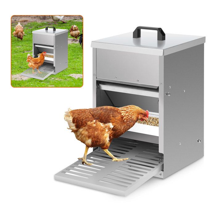 Meilleurs prix pour Eulenke Mangeoire poules en acier galvanisé – Distributeur automatique 5KG avec pédale et protection étanche pour poul