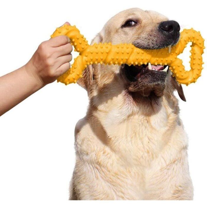 Jouet à Mâcher Résistant en Caoutchouc pour Chien - Os 13 Inch avec Design Convexe - Interactif et Solide pour Chiots et Chiens Ag