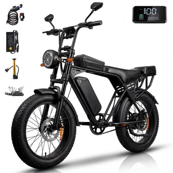 Aairsk - Vélo Électrique - Roues 20 -Batterie Amovible 48V15Ah - LCD - Moteur 250W - Autonomie 40-70km (Mode ASSIST) -X5