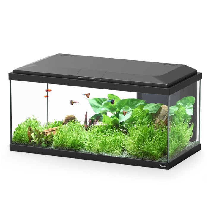 Meilleurs prix pour Aquarium poisson Explorer Brussels Bio 105L noir - Aquatlantis Noir