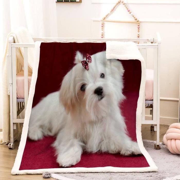 Couverture polaire pour chien deals
