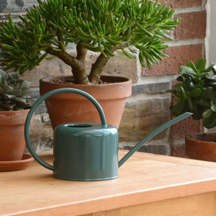 Arrosoir D'Intérieur Design 1,4L - Acier Galvanisé Avec Bec Étroit Pour Plantes En Pot