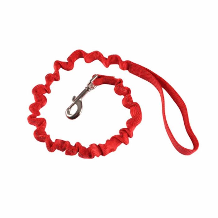 Laisse Chien Anti à Coups Essentiel 120cm Rouge Laisse Chien Anti à Coups Essentiel 120cm Rouge
