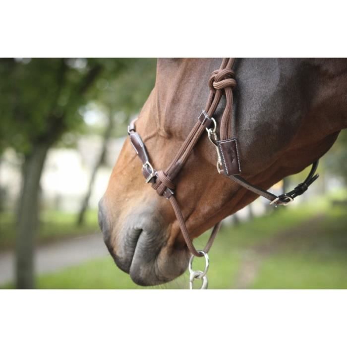 Fouet En Cuir Pour Cheval – 1,4 Mètres – Avec Anneau De Suspension – Dressage, Entraînement, Cosplay Cowboy