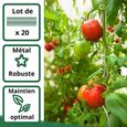 20 Tuteurs spirale 110cm, Acier galvanisé - ARTECSIS / Piquets tomate torsadés, Support plante grimpante potager-1