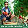 20 Tuteurs spirale 110cm, Acier galvanisé - ARTECSIS / Piquets tomate torsadés, Support plante grimpante potager-2