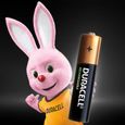 DURACELL Recharges Ultra Piles Rechargeables type LR03 / AAA 900 mAh Lot de 4-6