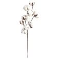 1 Pc Séché Faux Fleur De Coton Artificielle Plante Floral Branche étape De La Maison Décor