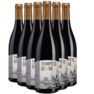 VIN ROUGE Brouilly Tempête Divine Rouge 2022 - Lot de 6x75cl - Domaine Dupond  - Vin AOC Rouge du Beaujolais - Cépage Gamay