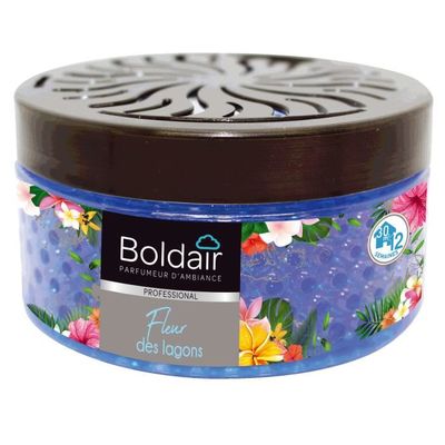 Boldair gel destructeur d’odeurs Cèdre Distriver Boldair gel destructeur d’odeurs Cèdre Distriver