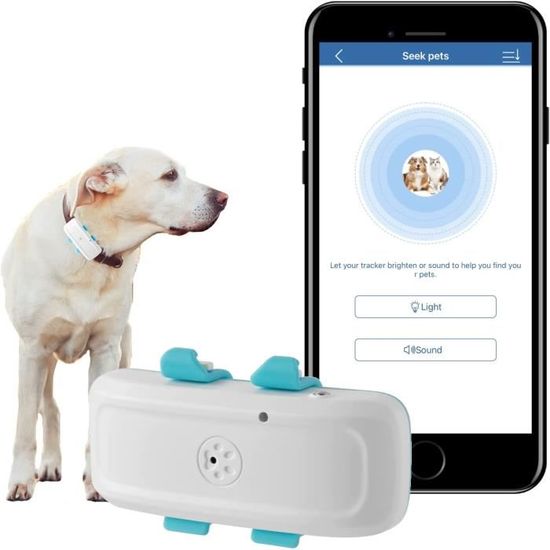 Collier GPS sans Abonnement pour Chien Traceur GPS 4G AntiFugue