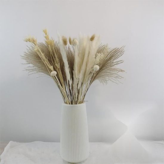 Anlising 45PCS Herbes De Pampa Séchées Naturelles - Décoration Bohème Élégante, Herbe De Pampa Et Queue De Lapin Pour Maison, Fêtes Et Photos