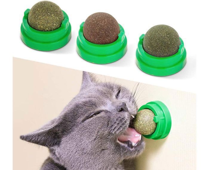 Meilleurs prix pour 3 boules d'herbe à chat, jouets à mâcher pour chat, jouets à mâcher sûrs et sains pour chaton