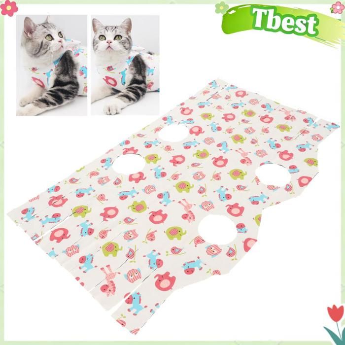 Tbest Costume de récupération de chirurgie de chat Combinaison de récupération chirurgicale pour chat animalerie pull M.
